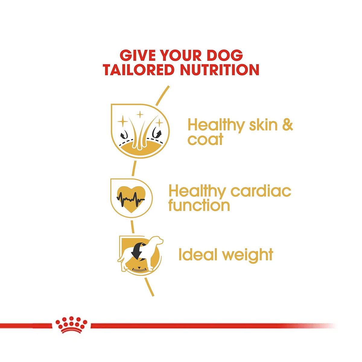 Royal Canin Golden Retriever Adult Dry Food