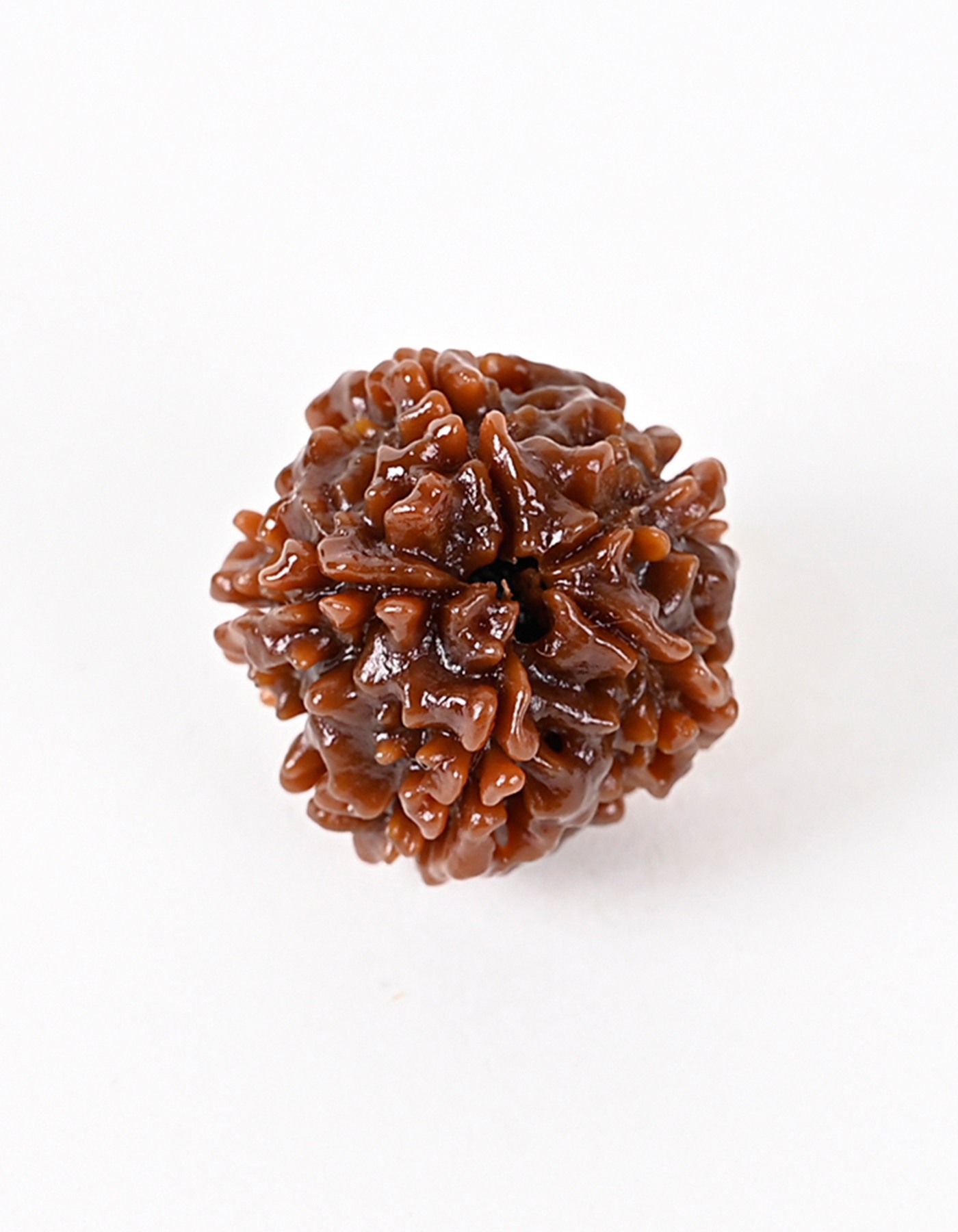 5 Mukhi Nepal Quality Rudraksha Bead- Mental & Spiritual Growth I 100% Natural & Genuine Quality - Lab Certified