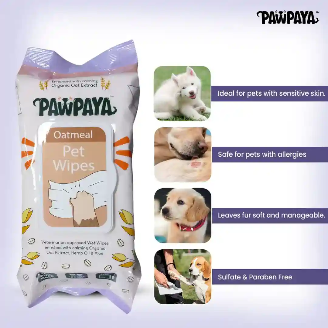 Pawpaya Oatmeal Pet Wipes for Dogs and Cats, 100 Pull Pack (20x18cm)