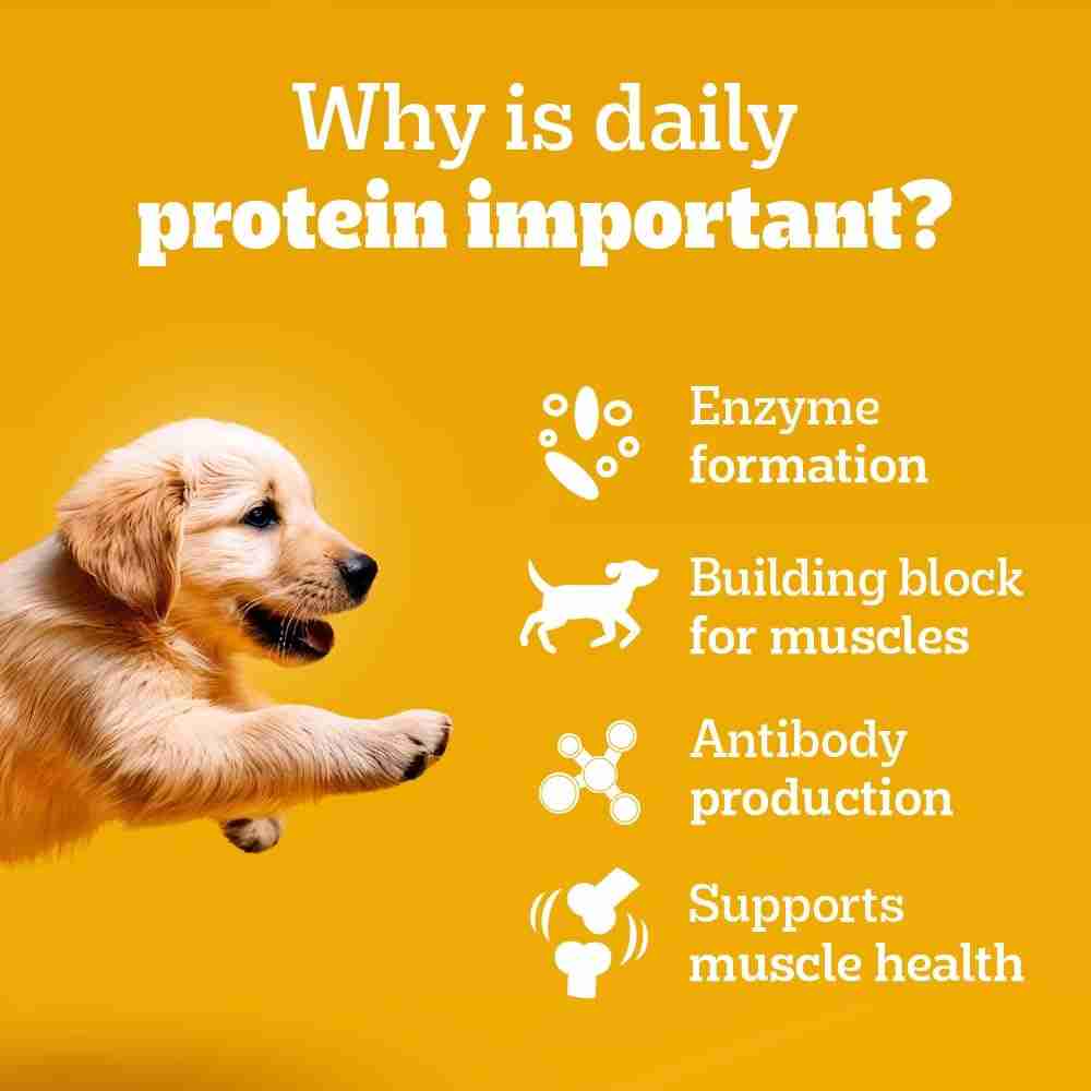 Pedigree Pouch Puppy Lamb Chunks In Gravy Wet Food for Dogs, 130g