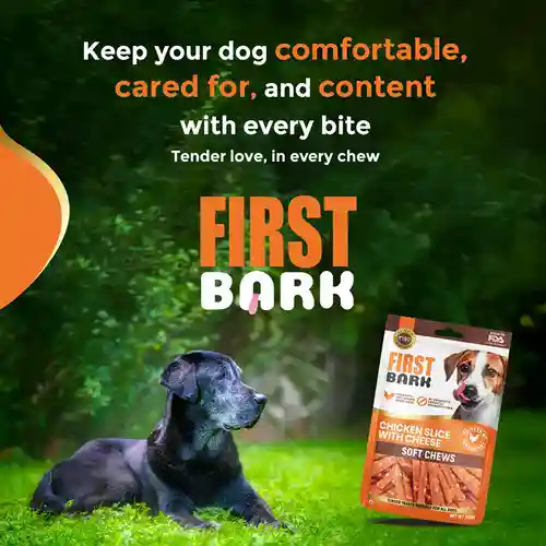 First Bark Chicken Slice with Cheese Jerky Dog Treat