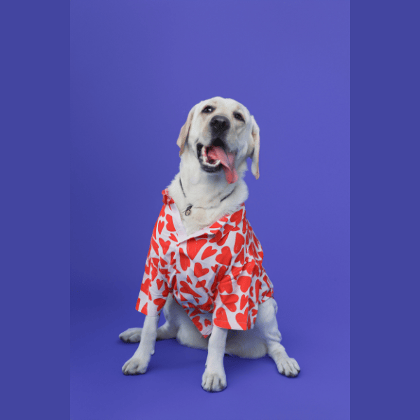 Ezra Polyester Blend Dog Shirt - Heart Abstract