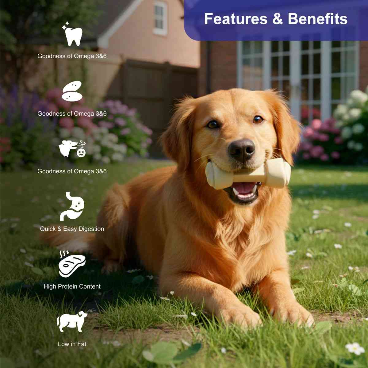Snackers Non Rawhide Chews Bone White for Dogs, 225 g