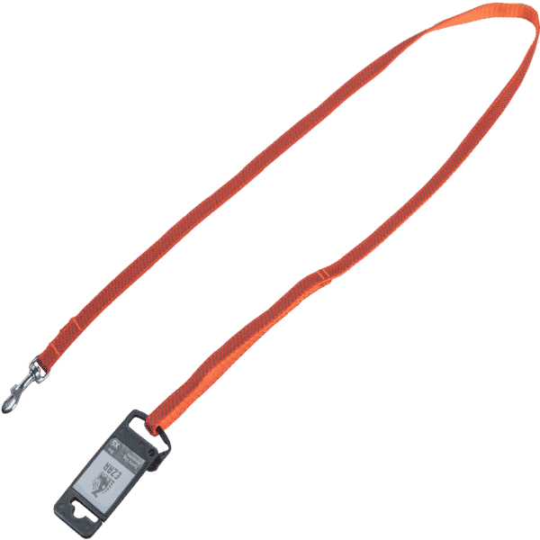 Ezra Sports Dog Leash - Blue/Orange