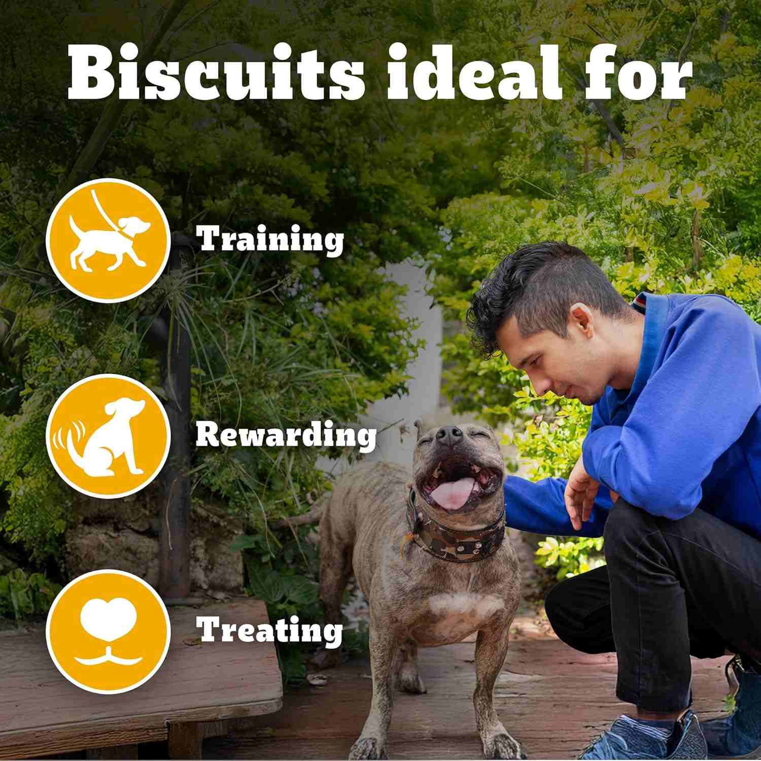 Pedigree Biscrok Protein & Calcium Biscuits for Dogs with Milk & Chicken 900 g