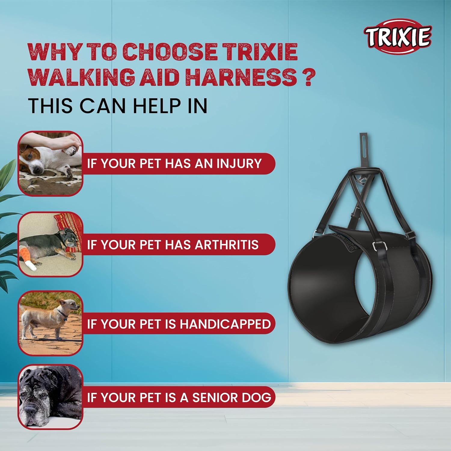 Trixie Walking Aid for Dogs (Black)