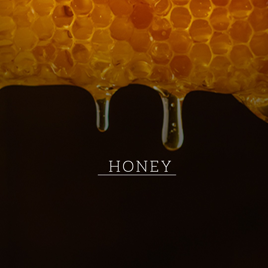 KHADI NATURAL Shikakai & Honey Hair Cleanser-Powered Botanics