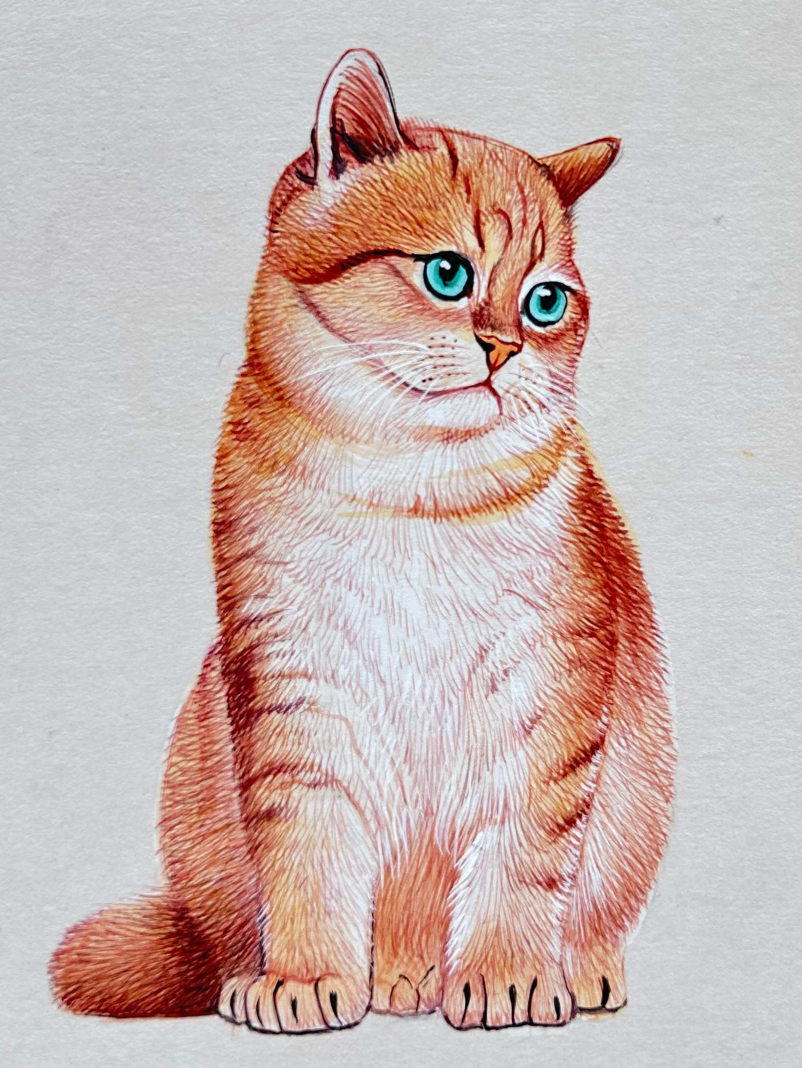 Cat Miniature Painting On Antique card