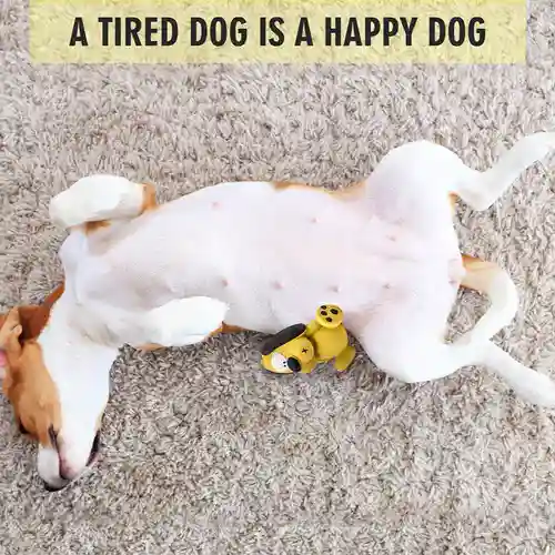 Barkbutler Fofos Latex Bi Dog Toy for Dogs | For Small Chewers (Yellow)