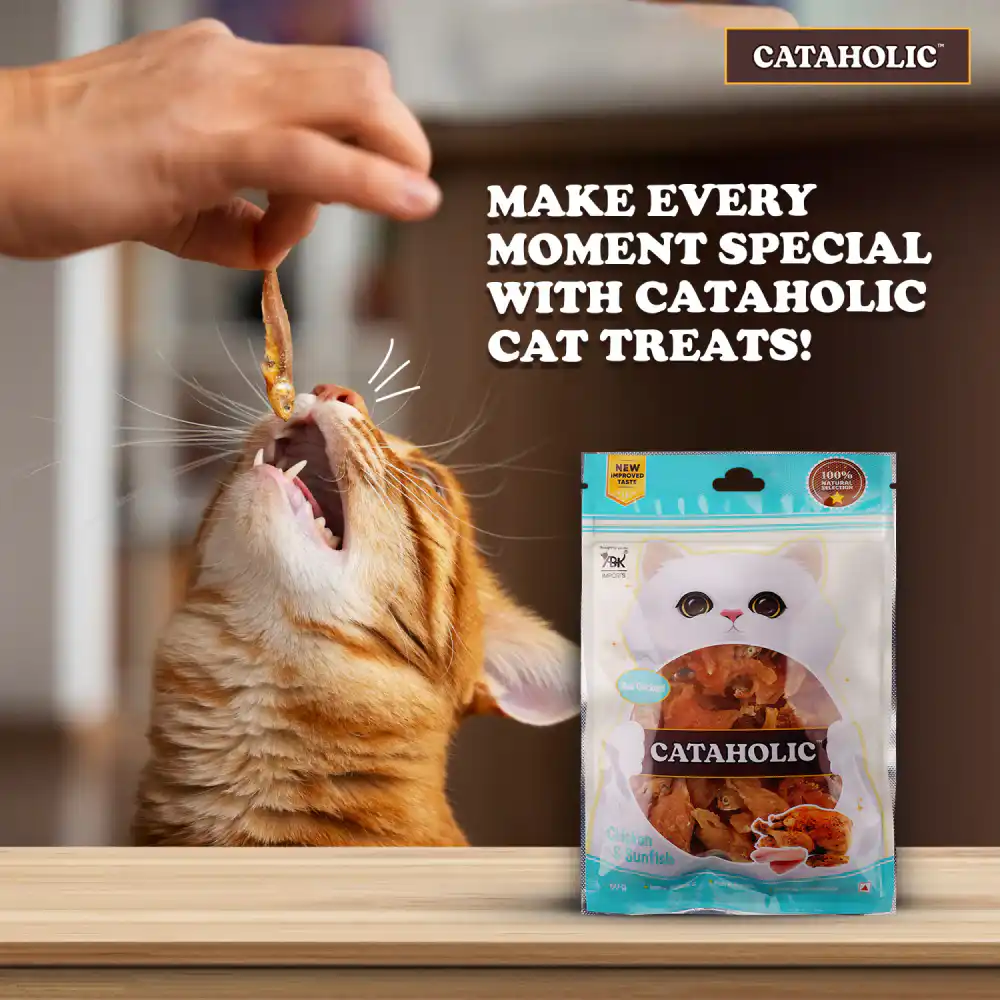 Cataholic Soft Chicken & Sunfish Spiral Cat Treats