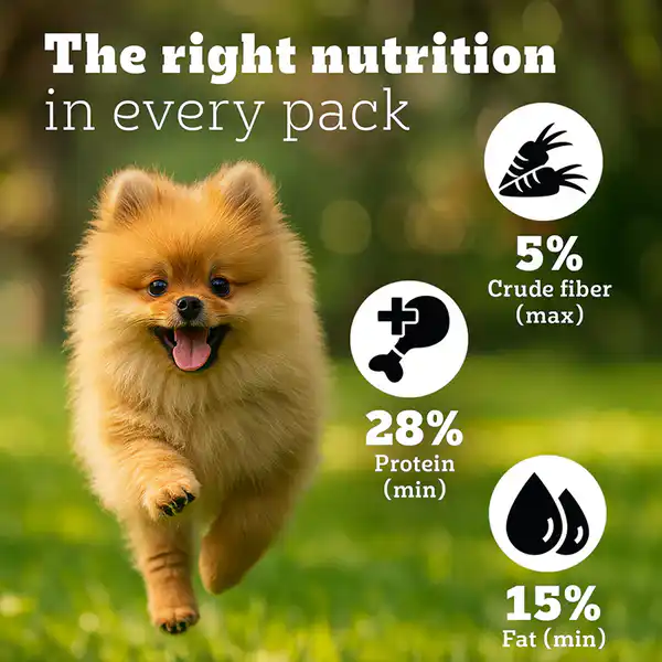 Pedigree PRO Expert Nutrition Small Breed Puppy (2 to 9 Months) Dry Food 1.2kg