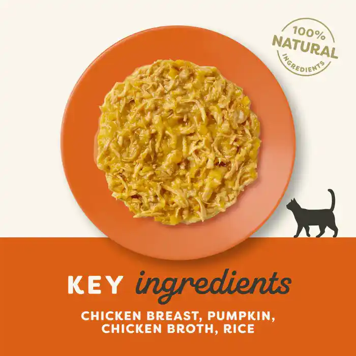 Applaws Cat Wet Food Chicken Breast with Pumpkin in Broth 70g