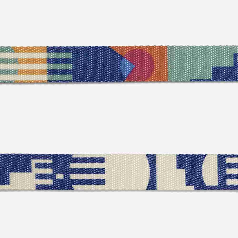 Zee.Dog Maze Leash for Dogs