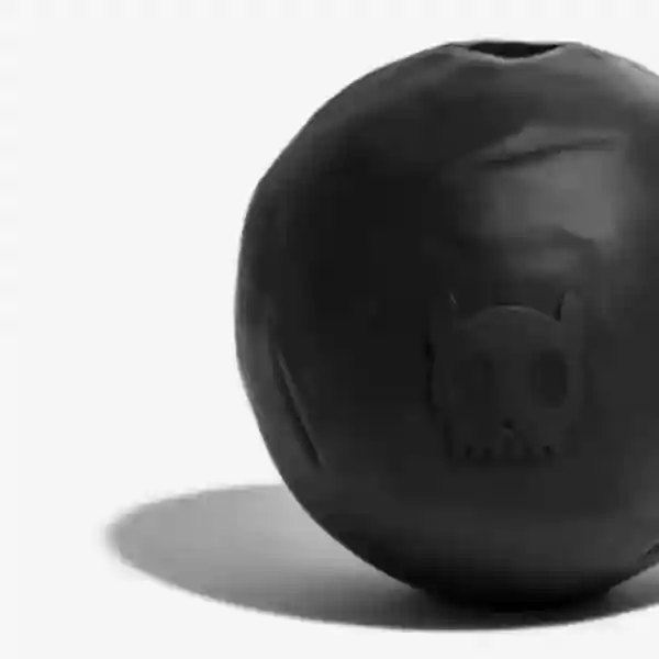 Zee Dog Cannon ball Dog Toy