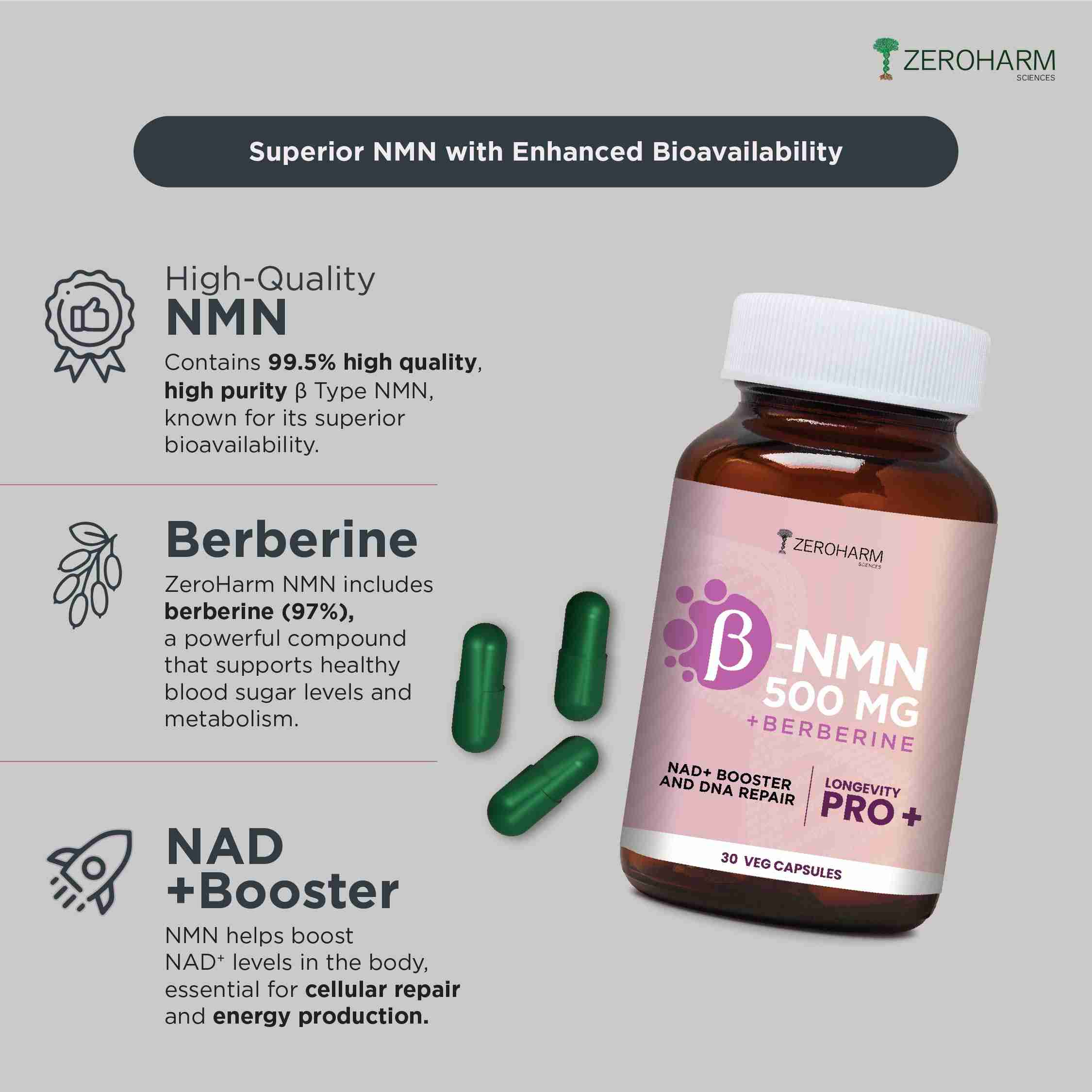 Zeroharm | NMN 500 MG + Berberine | Boost NAD+ | 30 Cap