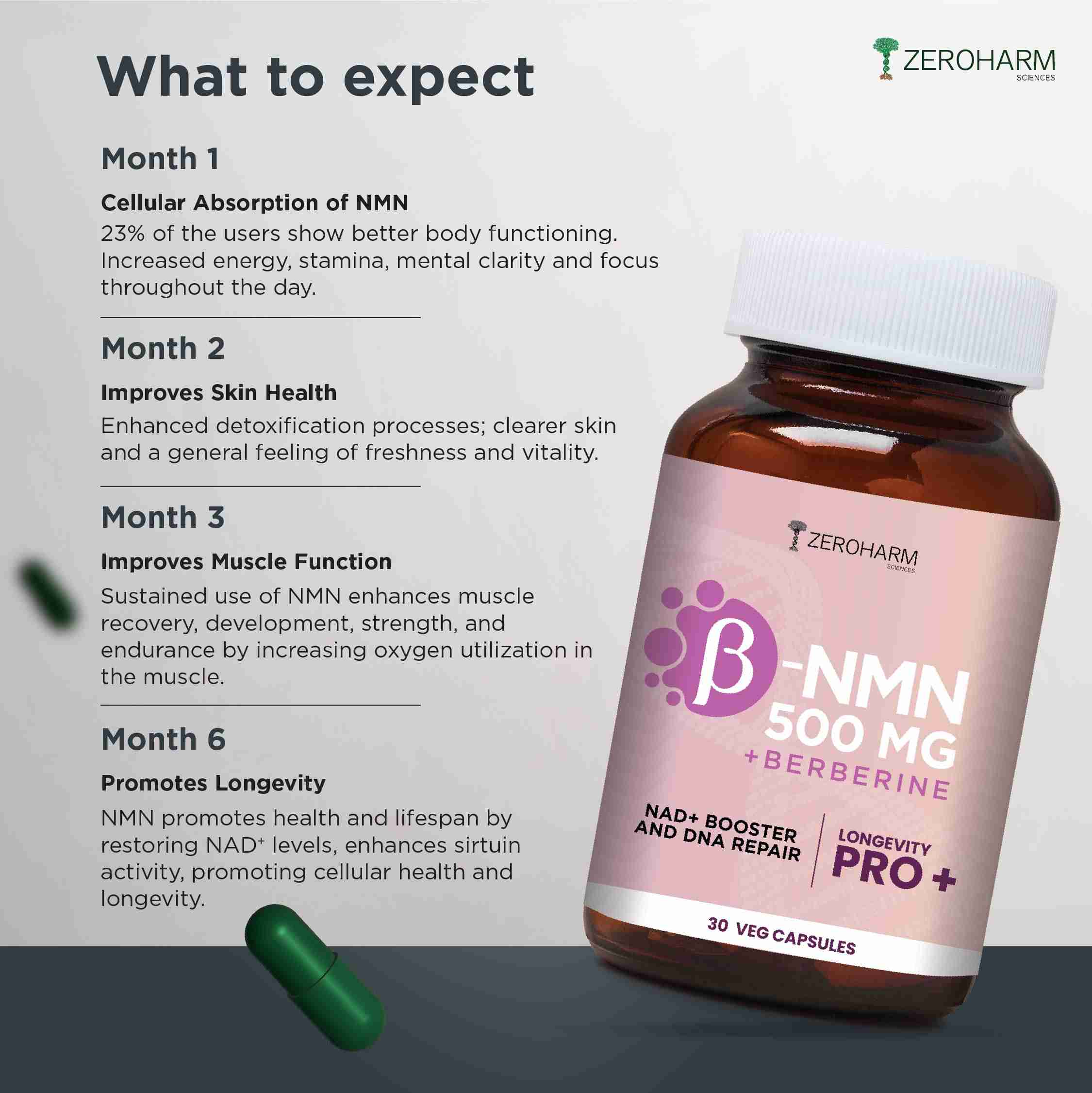 Zeroharm | NMN 500 MG + Berberine | Boost NAD+ | 30 Cap