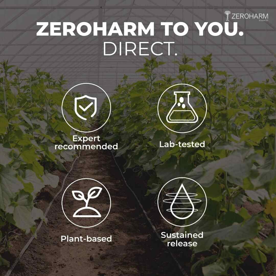 Zeroharm | Gut Army For Immunity | 60 Cap