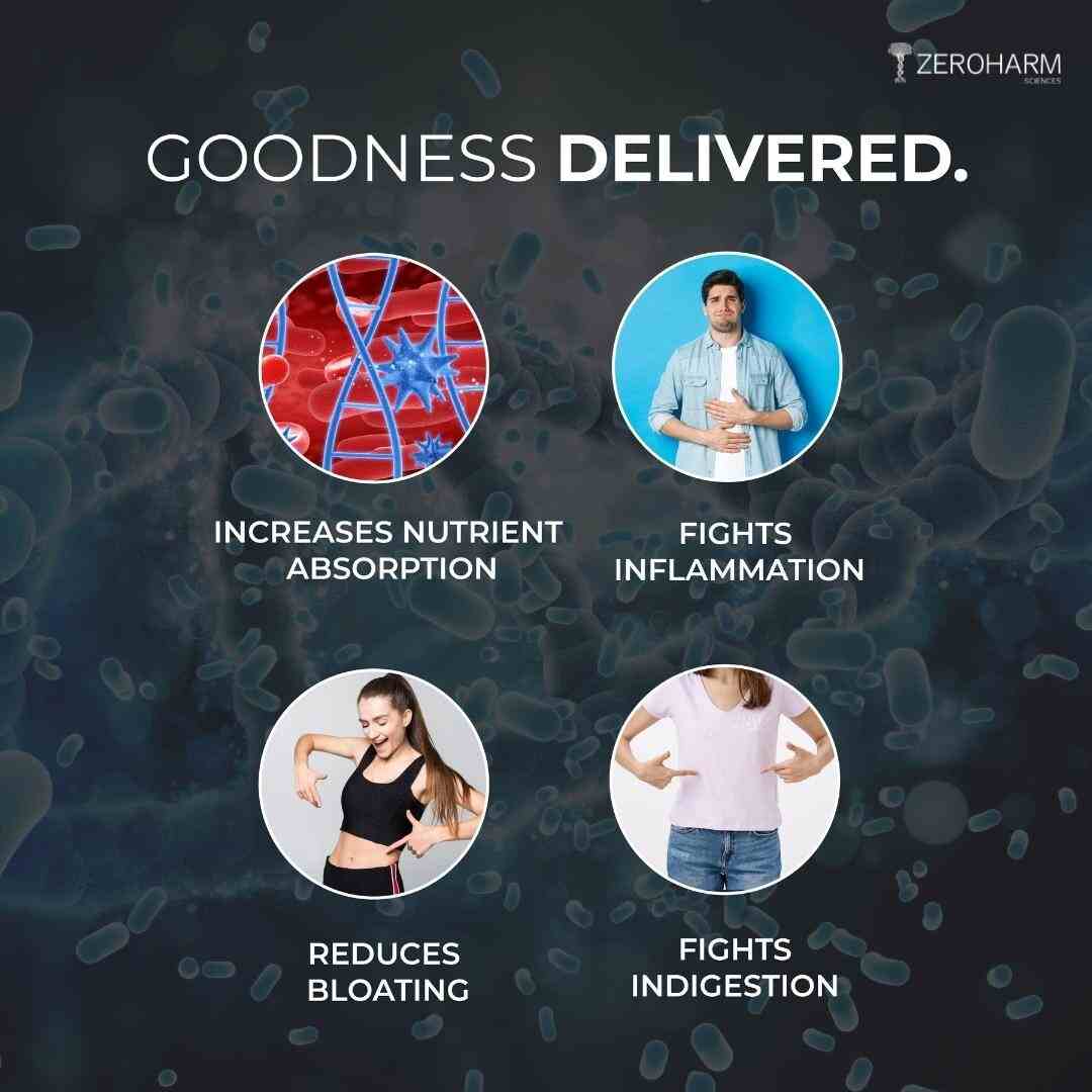Zeroharm | Gut Army For Immunity | 60 Cap