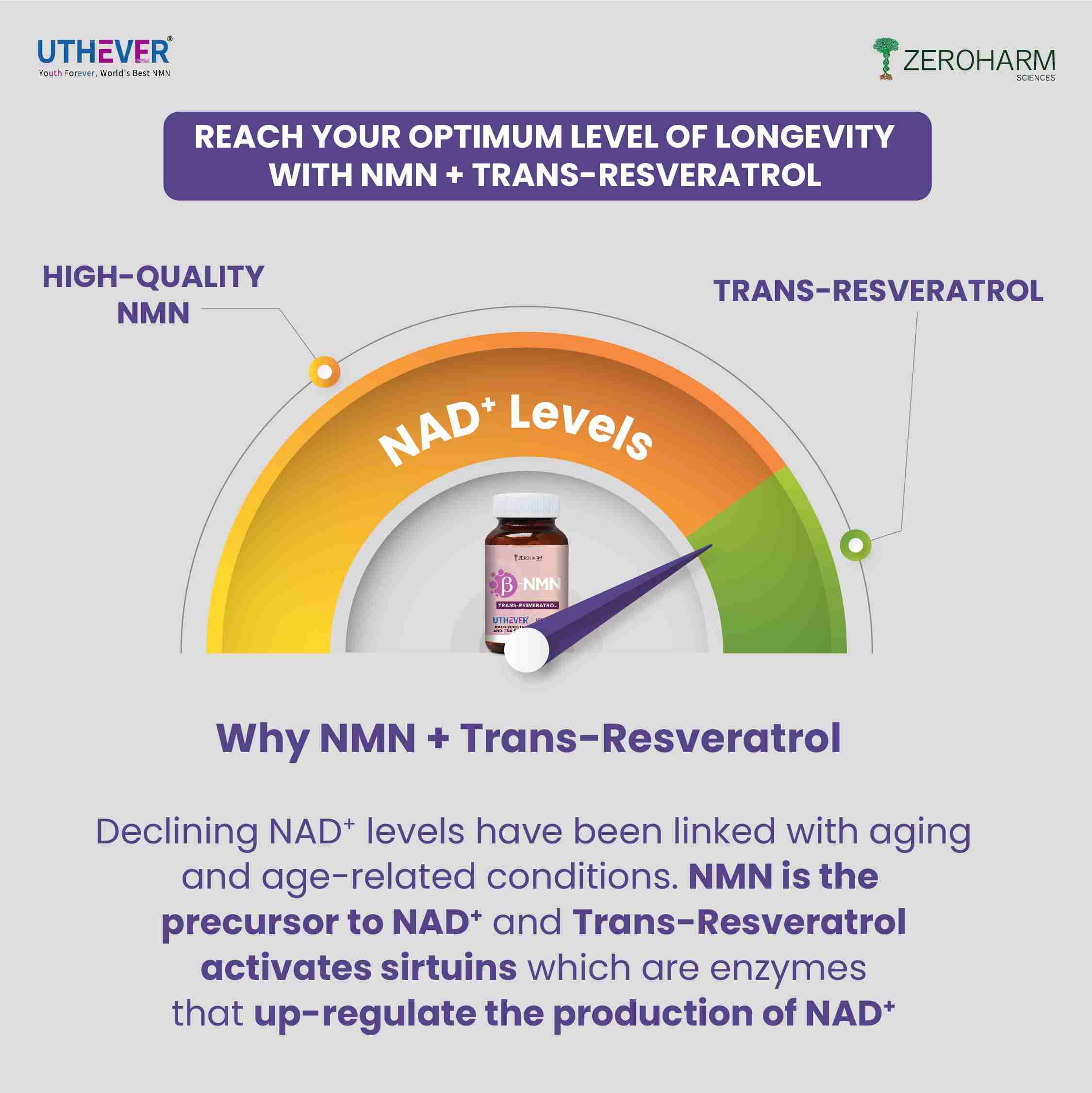 Zeroharm | NMN + Trans-Resveratrol | 30 Veg Cap