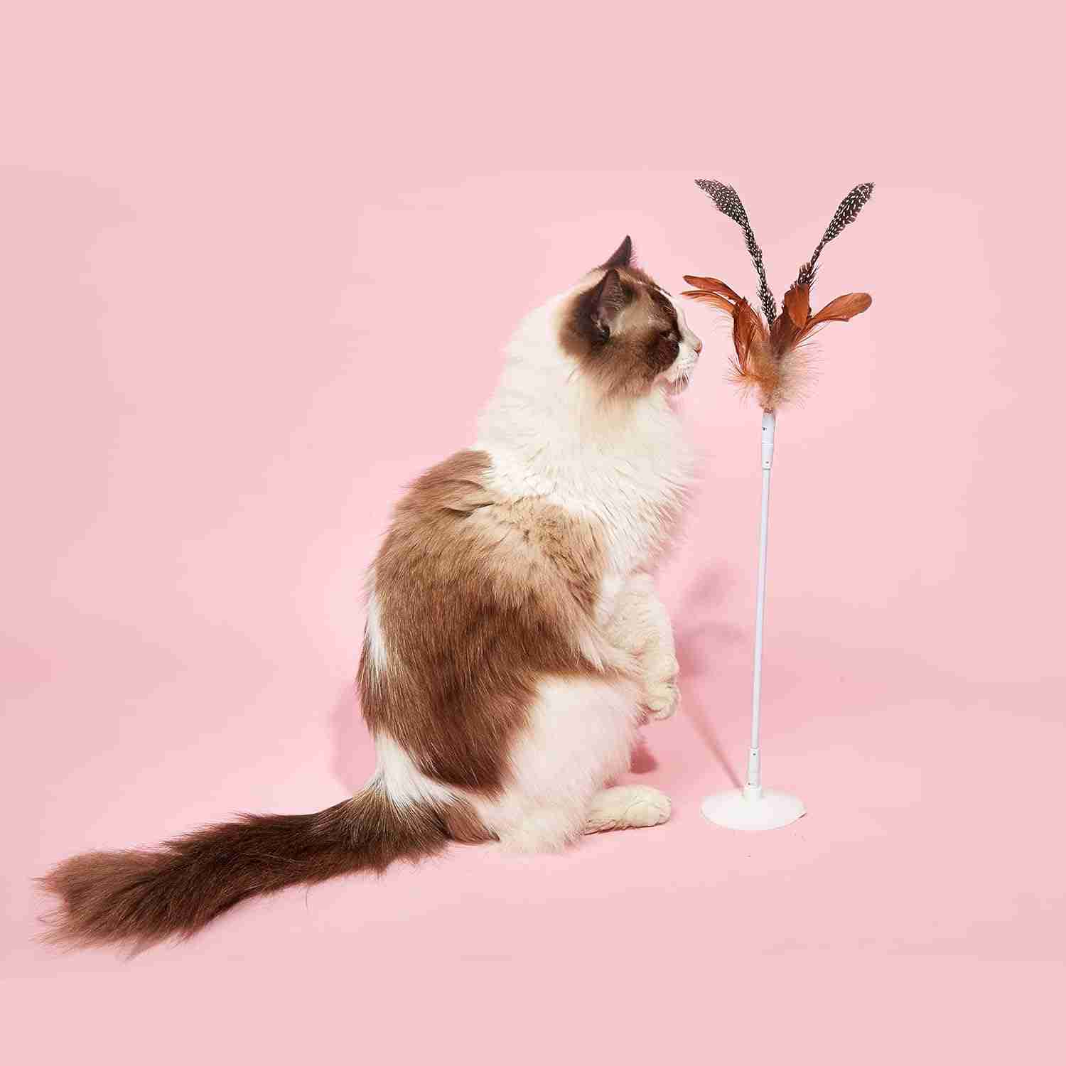 Barkbutler Fofos Suction Cup Interactive Cat Toy, 2 Replaceable