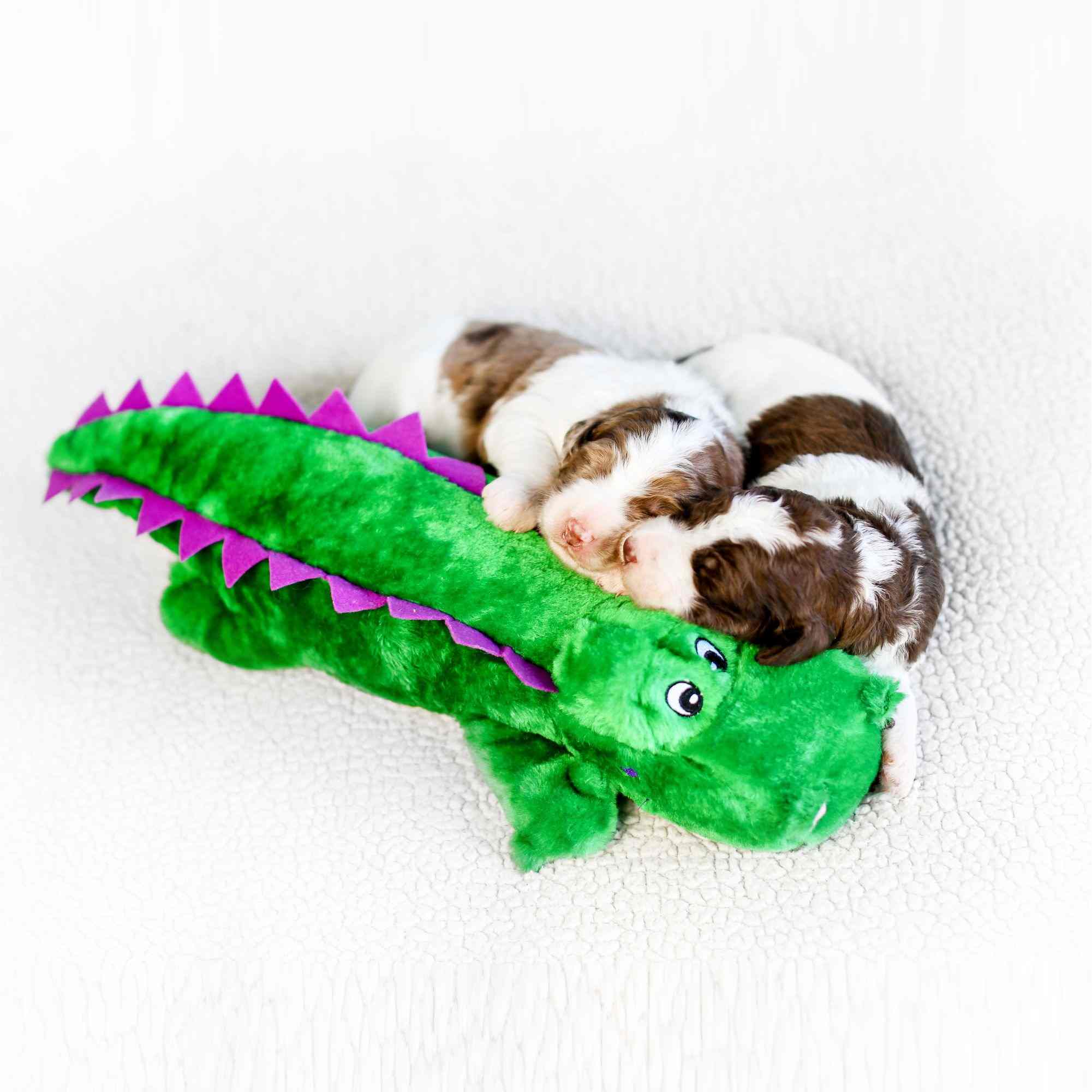 ZippyPaws Grunterz Alvin the Alligator Dog Toy (Green)