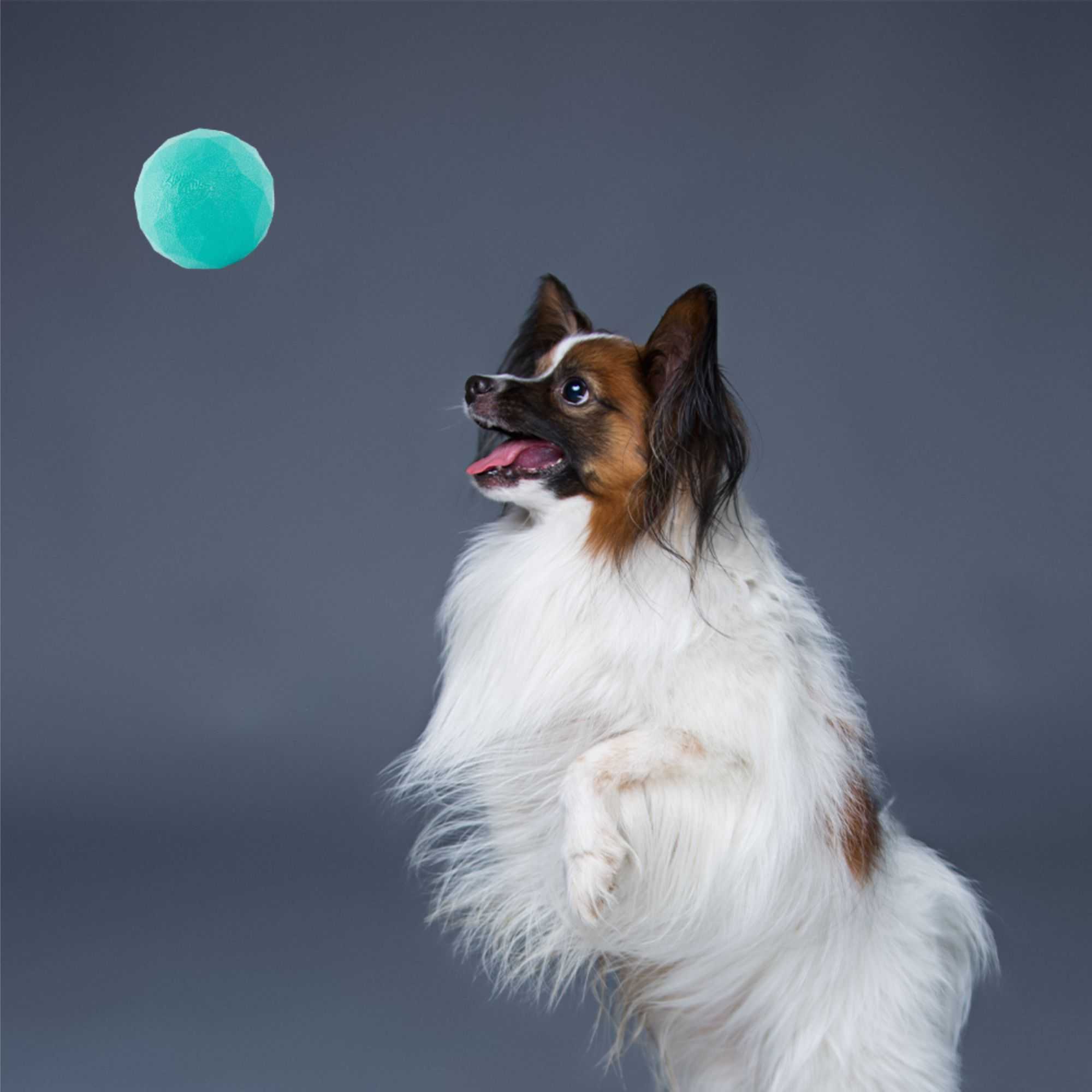 ZippyPaws Tuff Waggle Babble Ball Dog Toys