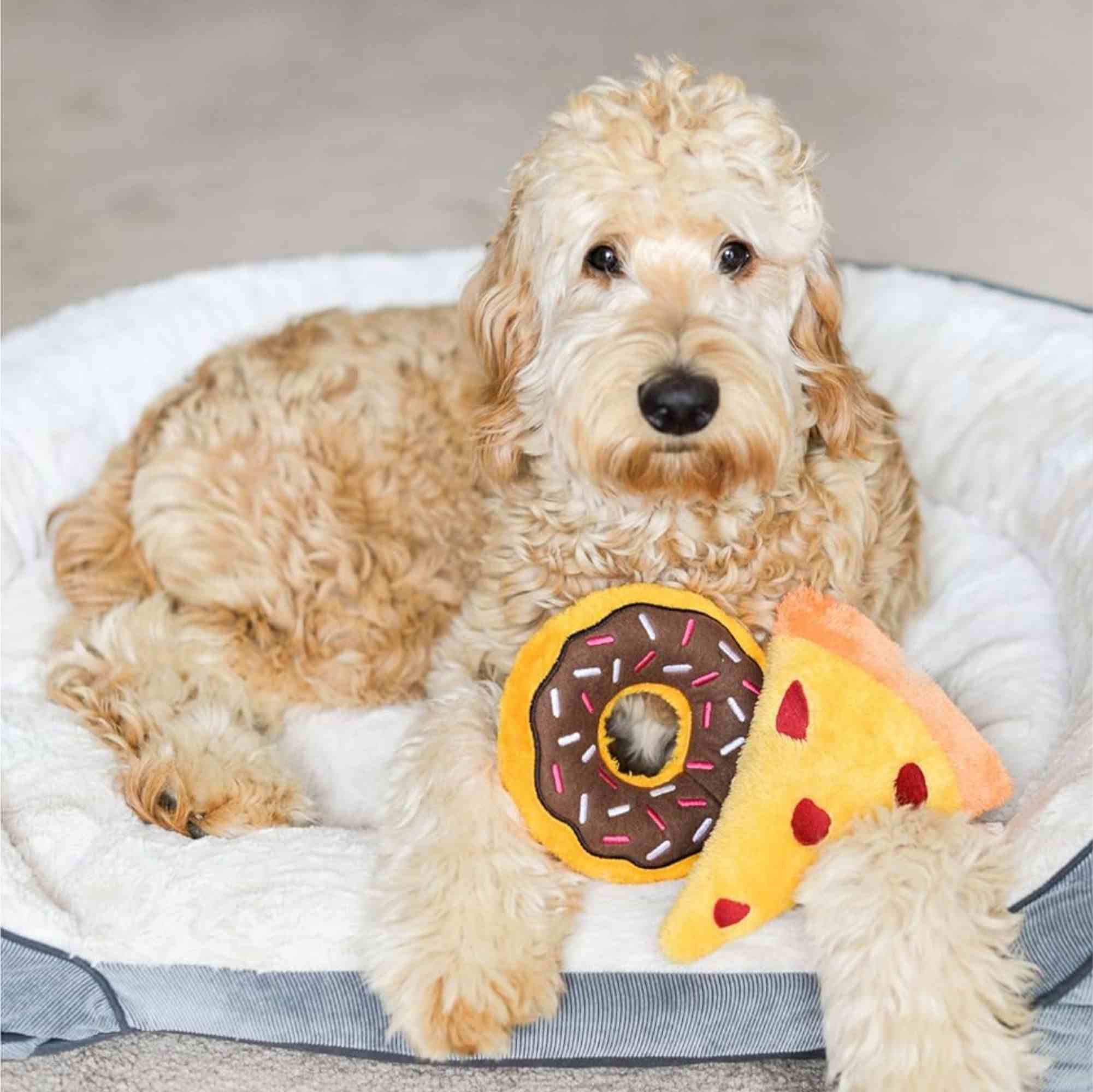 ZippyPaws Donutz Toy for Dogs - Chocolate