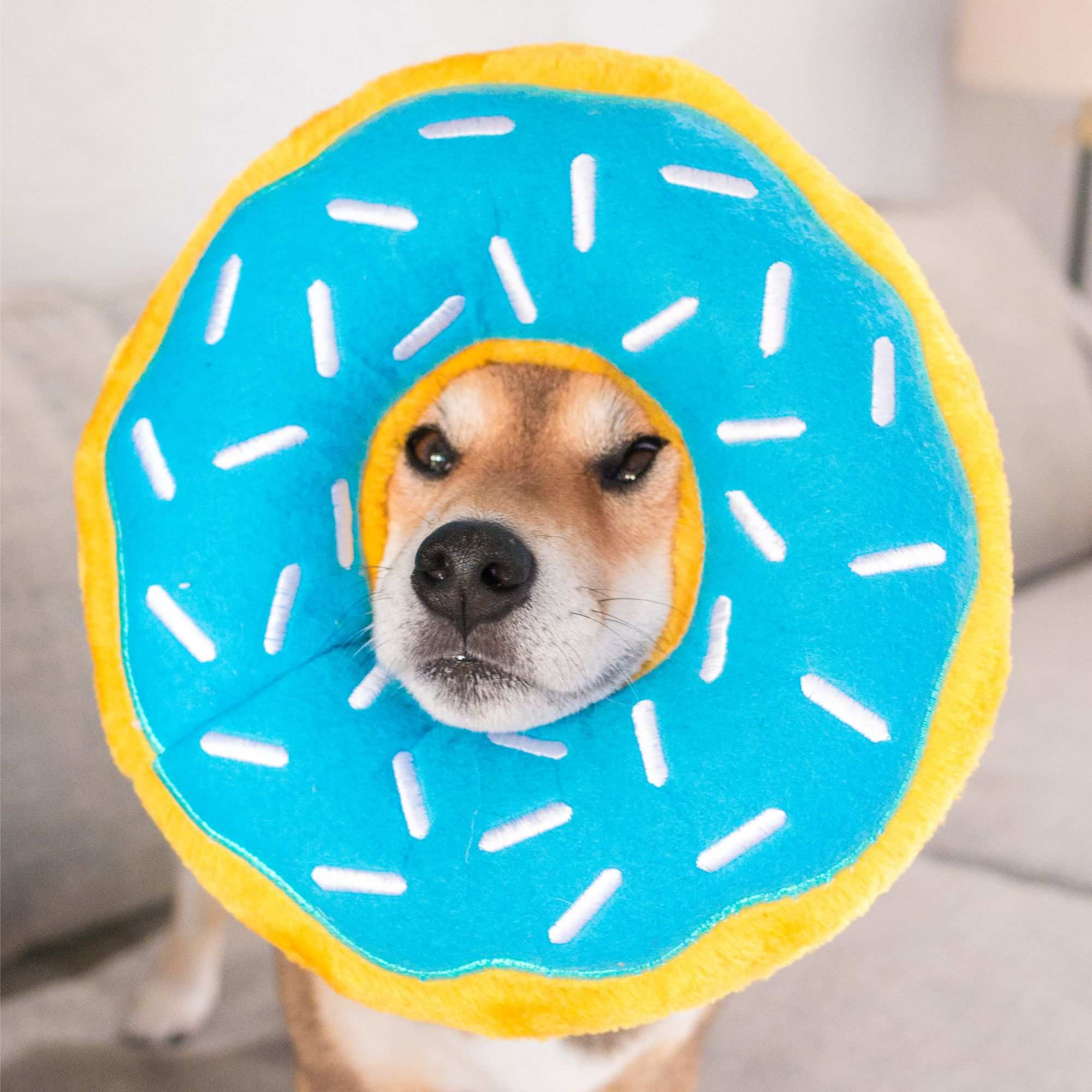ZippyPaws Jumbo Donutz Toy for Dogs - Blueberry