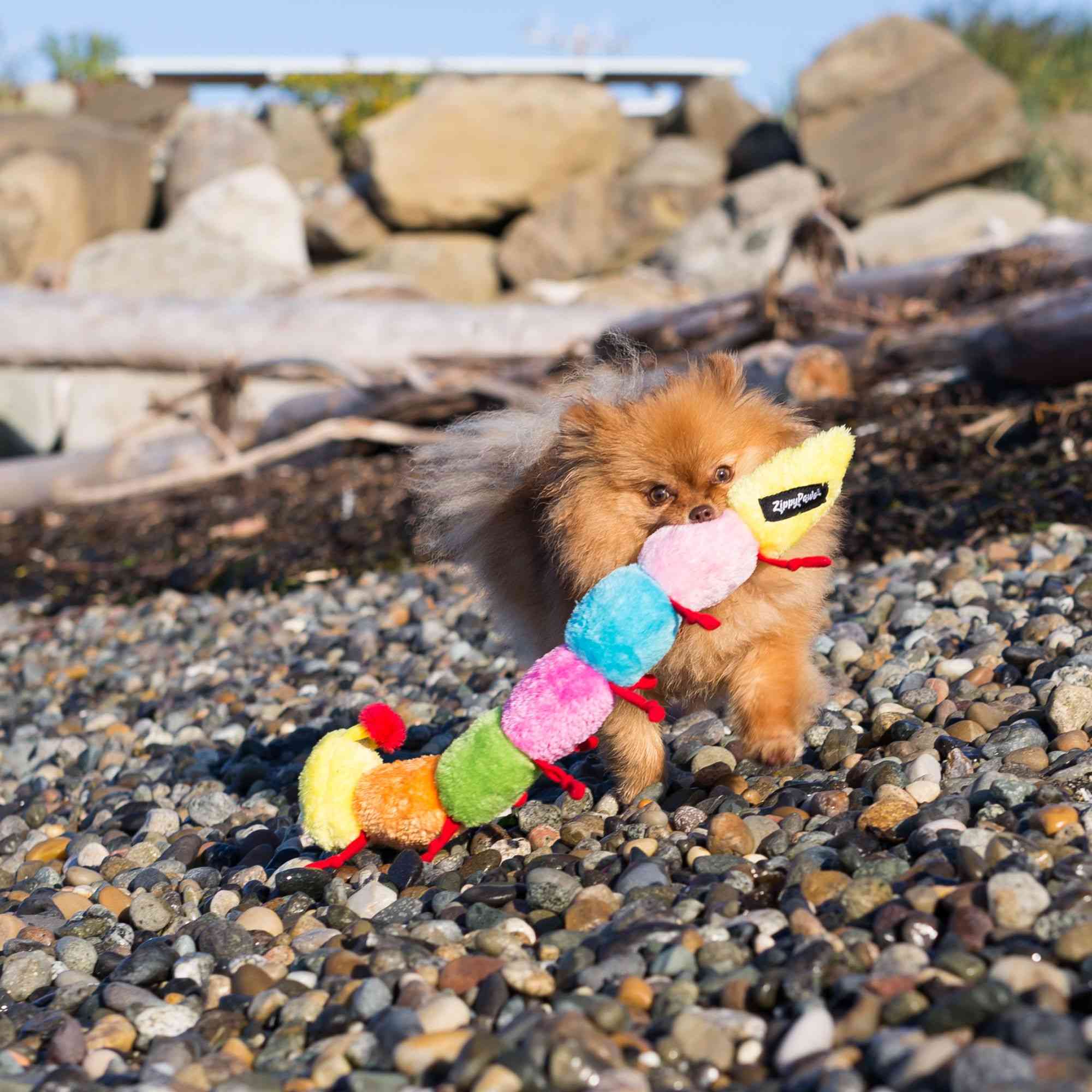 ZippyPaws Zippy Caterpillar Dog Toys - Large