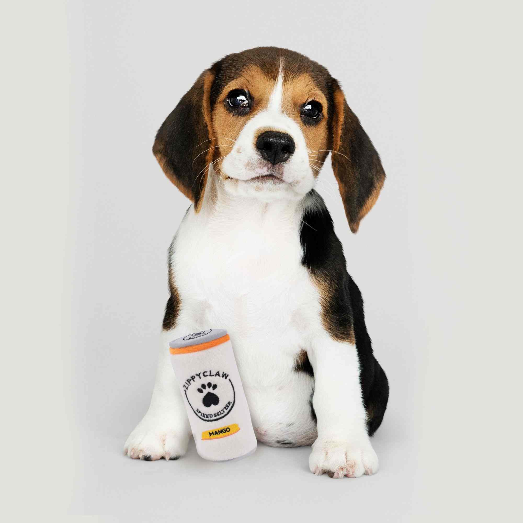 ZippyPaws Squeakie Can Zippy Claw Toy for Dogs