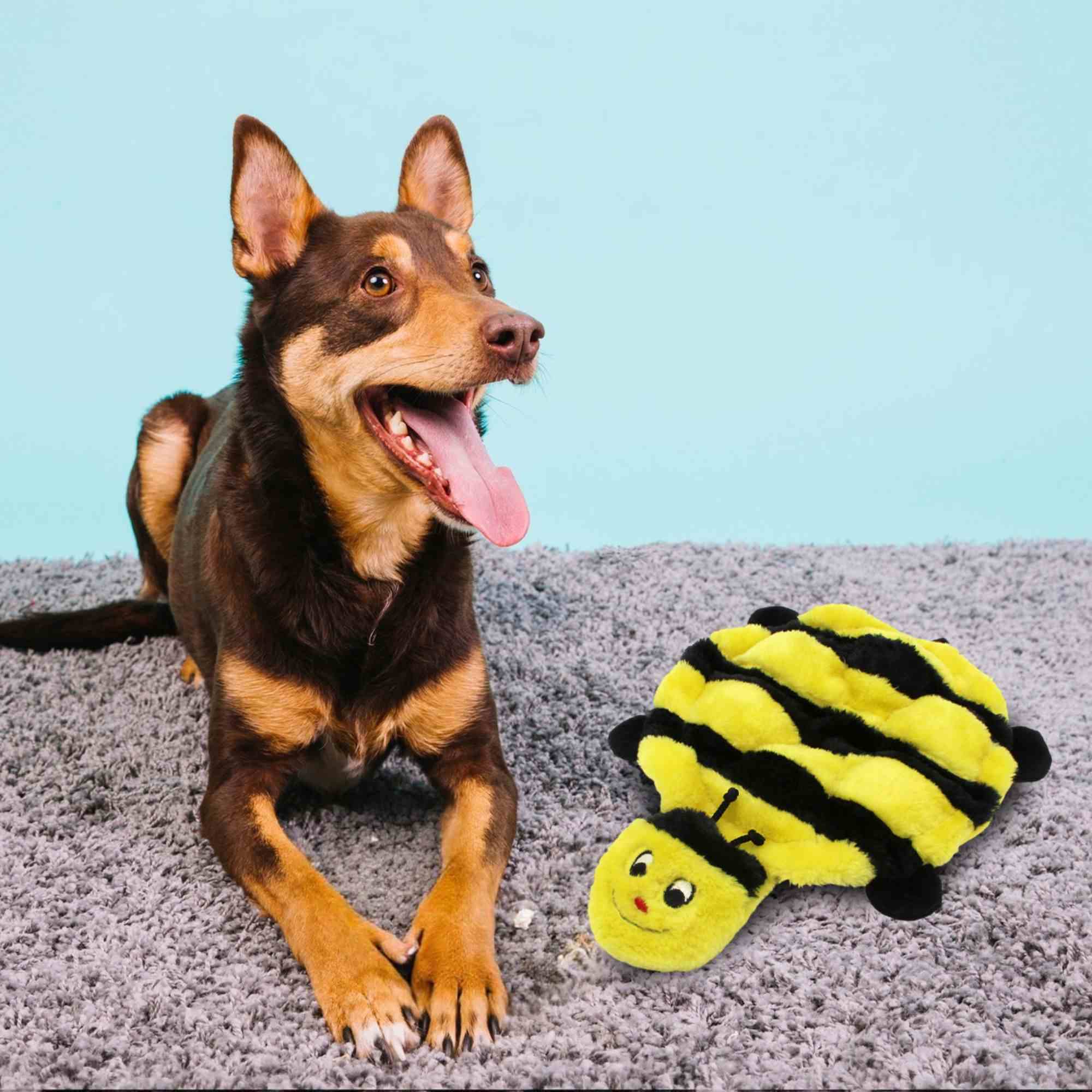 ZippyPaws Squeakie Crawler Bertie the Bee Toy for Dogs