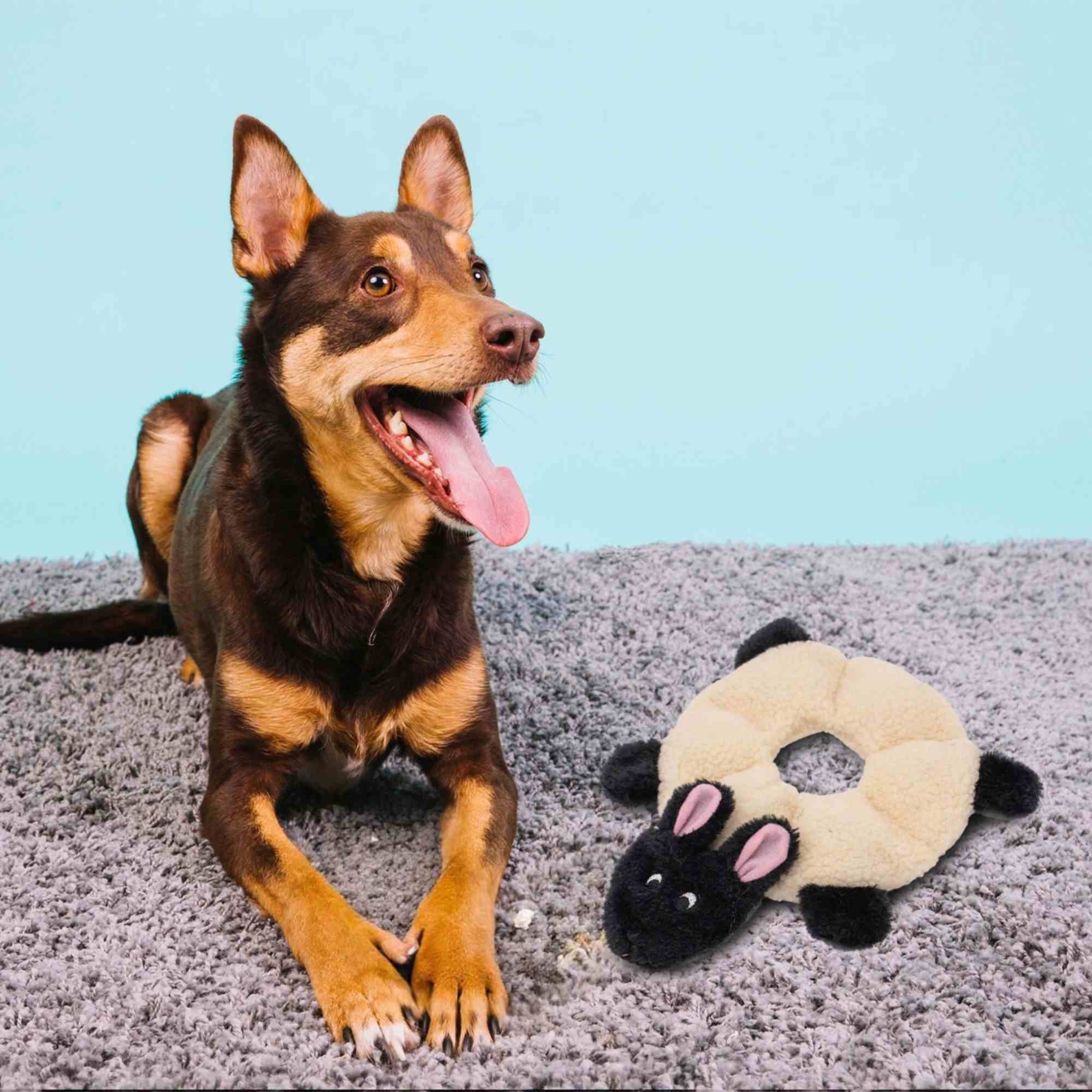 Zippypaws Loopy Sheep Dog Toy