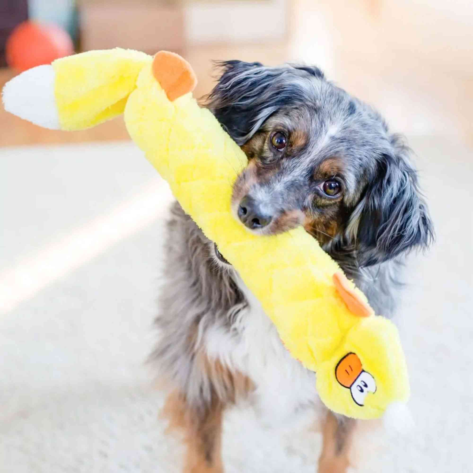 ZippyPaws Jigglerz Dog Toys, Duck