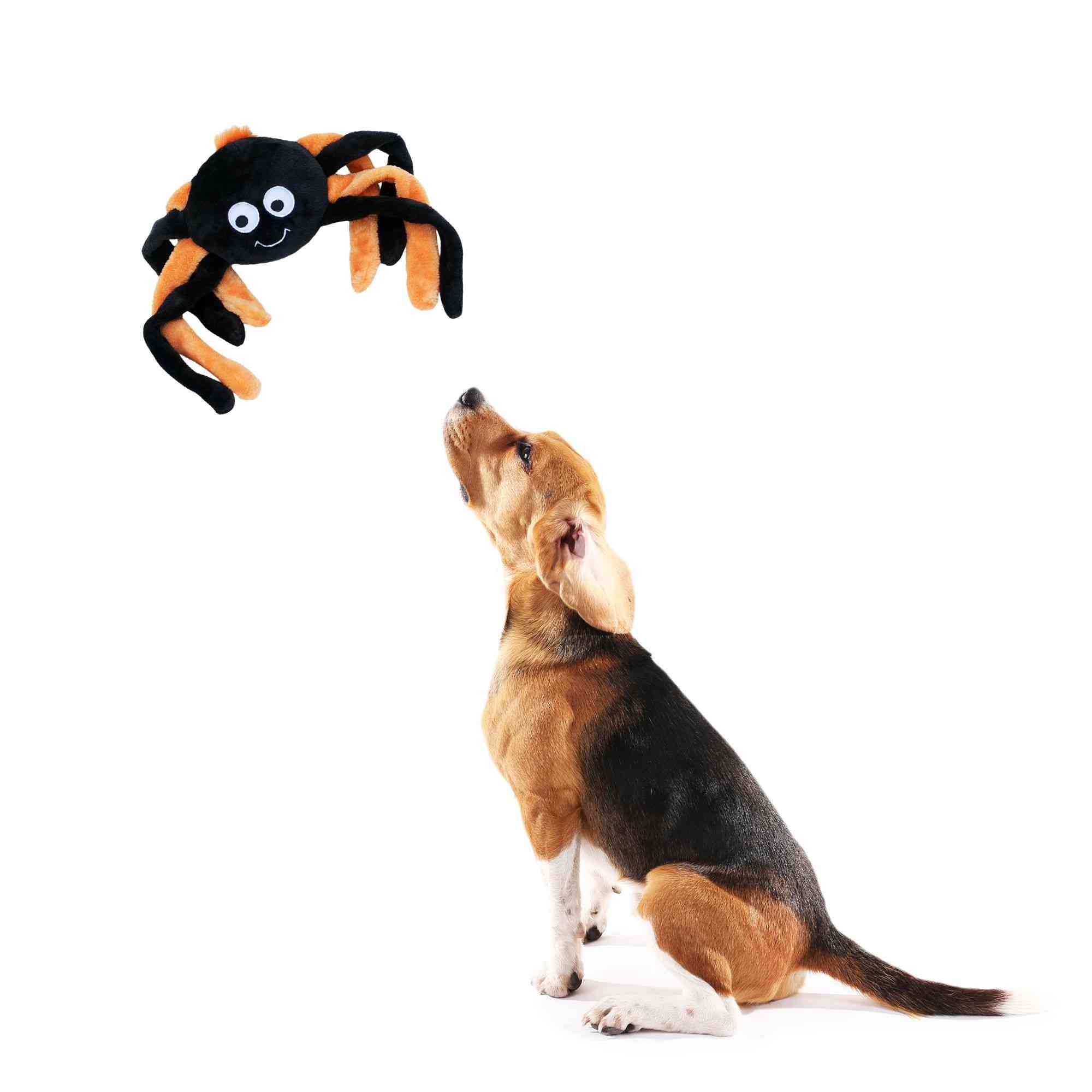 ZippyPaws Halloween Grunterz Spider Dog Toys (Orange)