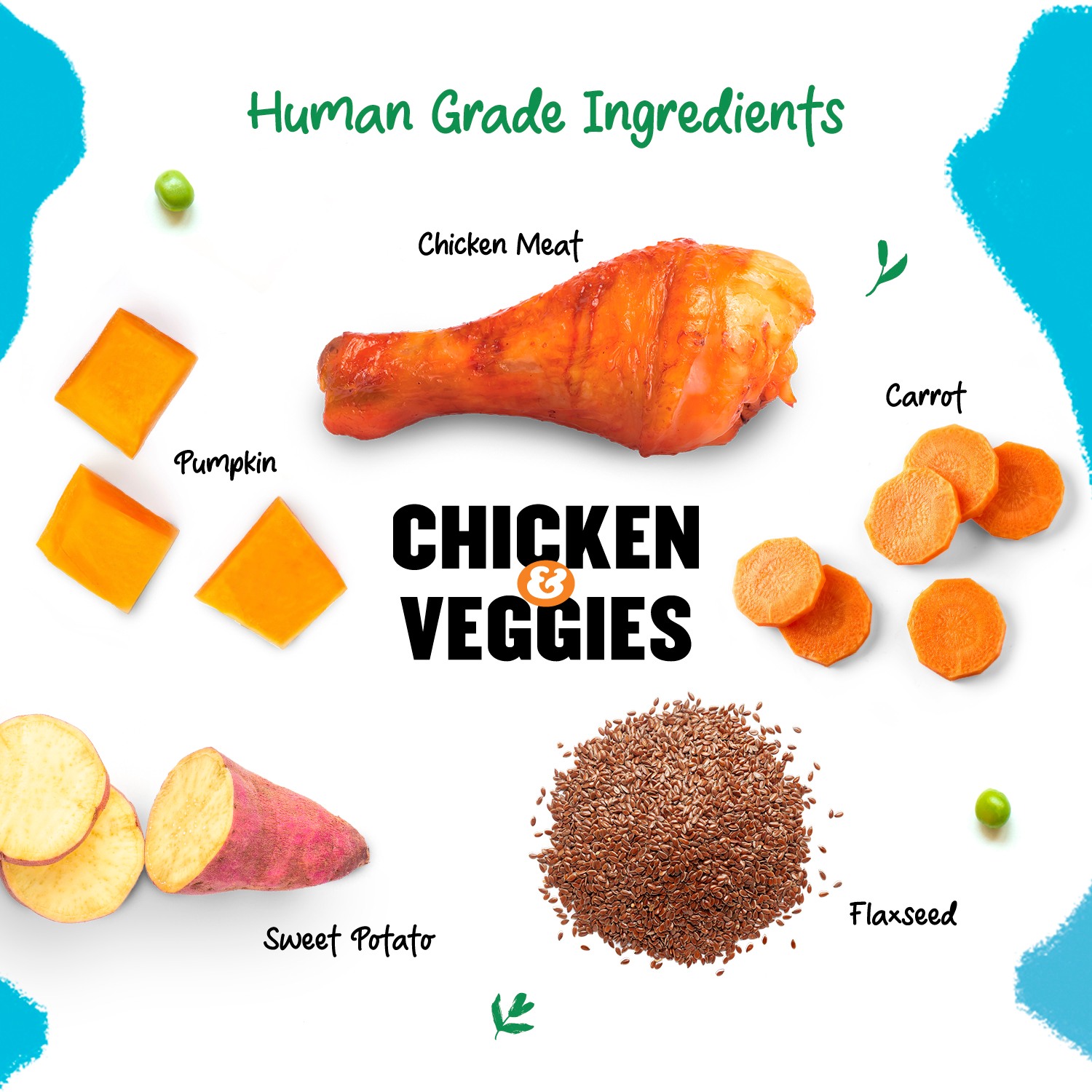 Well Fed Chicken & Veggies Wet Dog Food 100 g