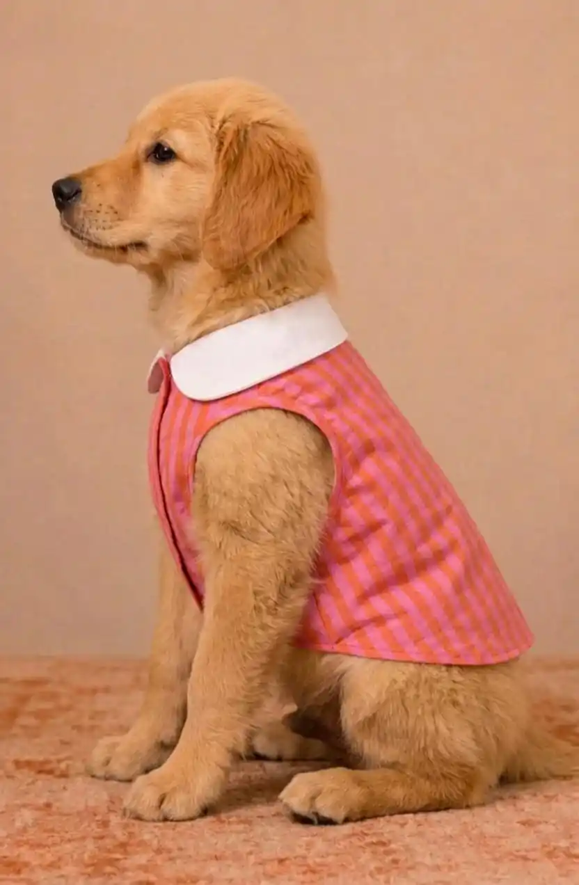 Pawsh Pet Candy Stripe Pet Tank Top Dogs & Cats, Pink