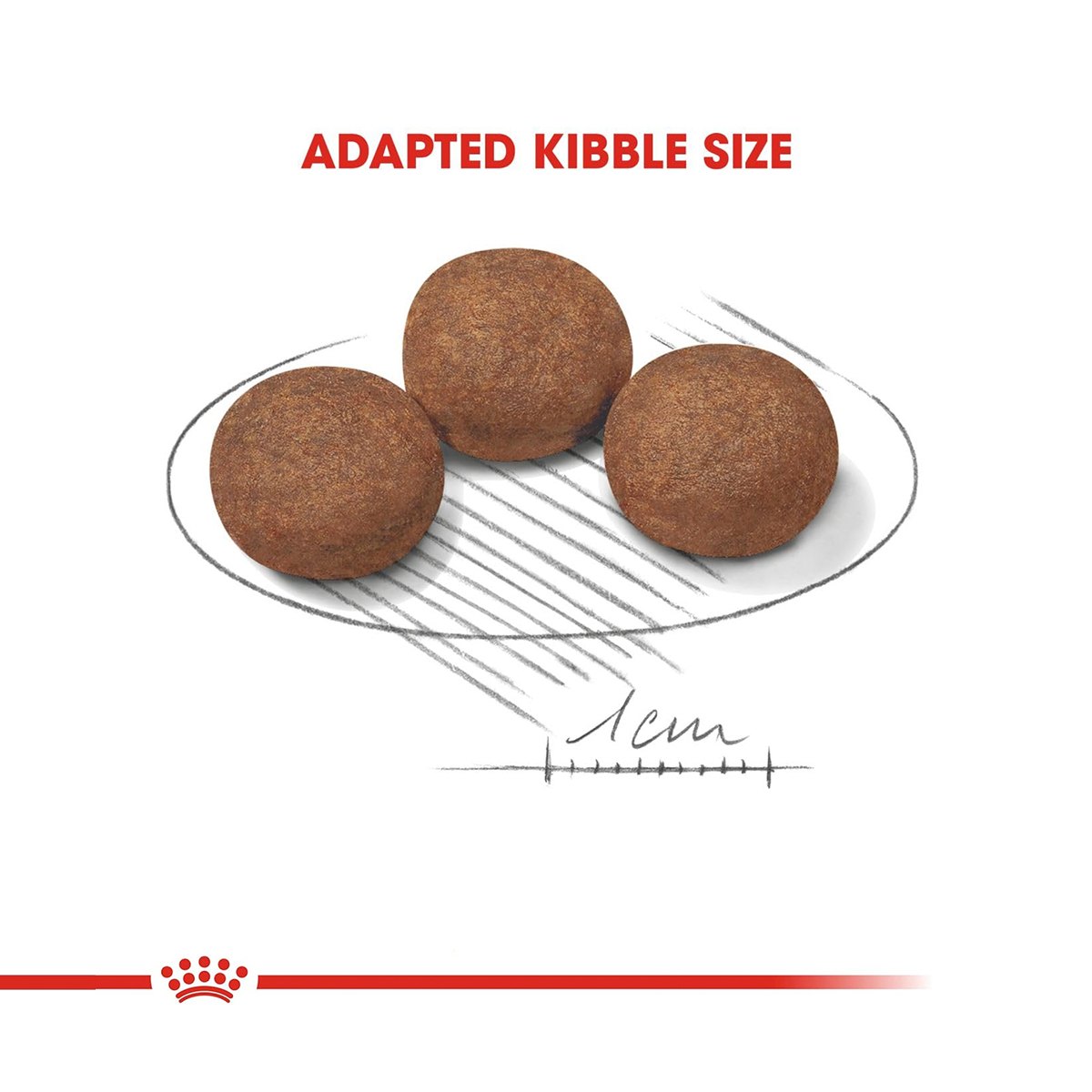 Royal Canin Medium Puppy Dry Dog Food