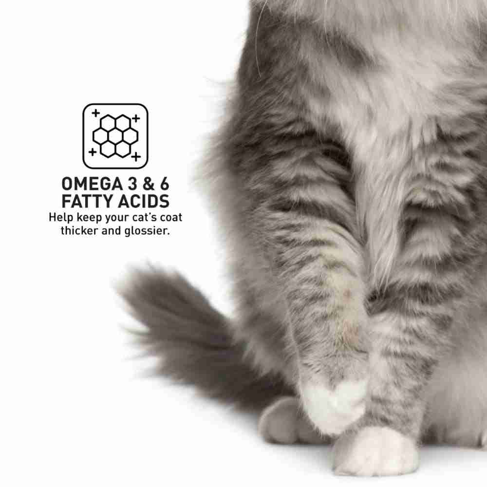 ProDiet Mackerel Dry Cat Food
