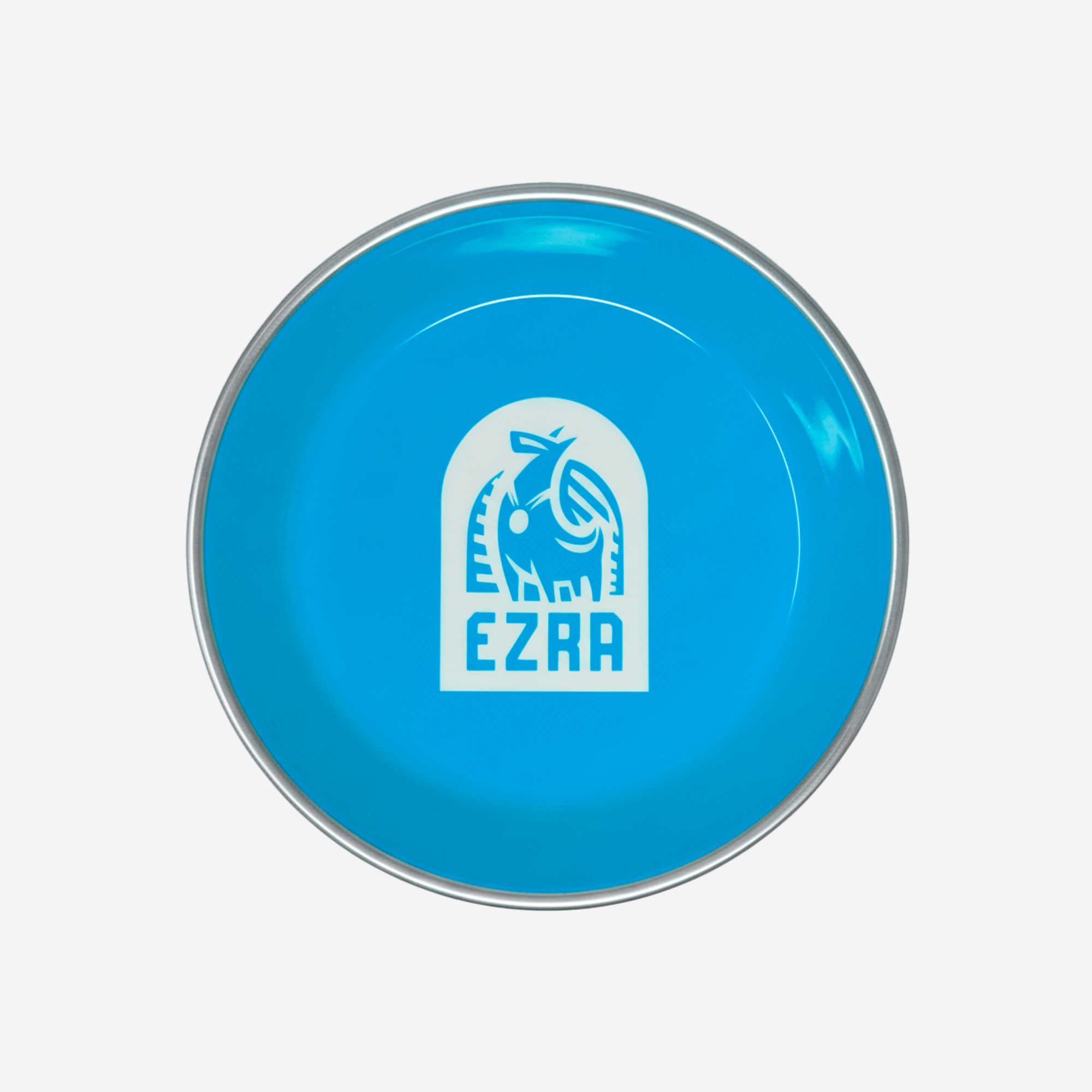Ezra Anti Skid Rubber Grip, Stainless Steel Bowls for Dog, Light Blue