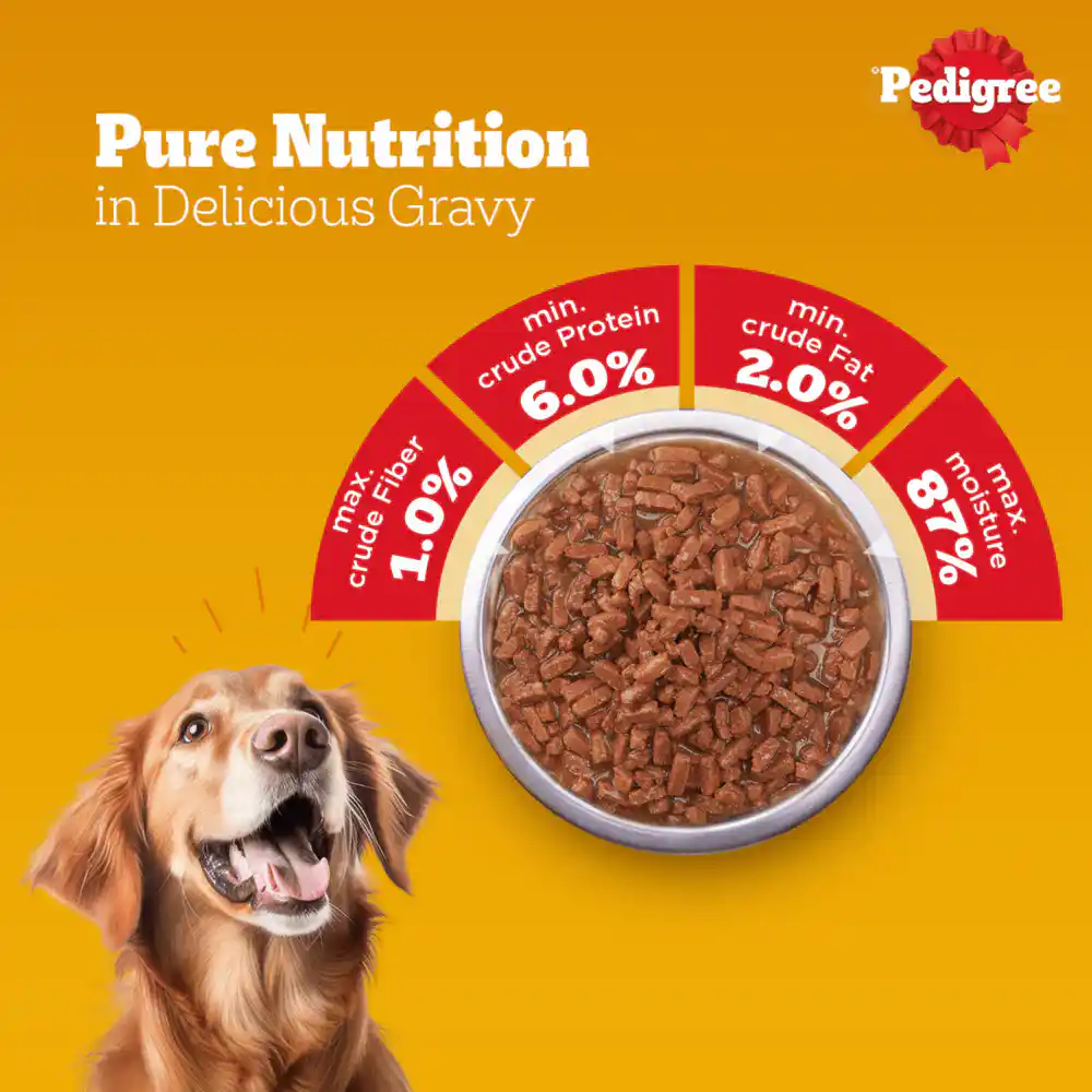 Pedigree Pouch Adult Lamb Chunks In Gravy Wet Food for Dogs, 70g