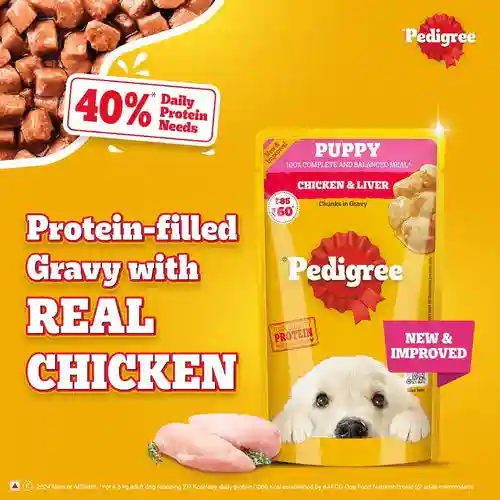 Pedigree Chicken & Liver Chunks In Gravy Puppy Wet Food, 130g