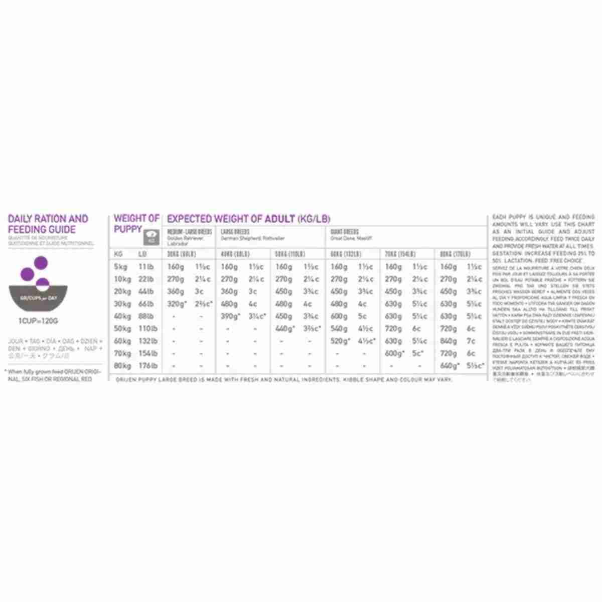 Orijen Puppy Large Breed Dry Dog Food