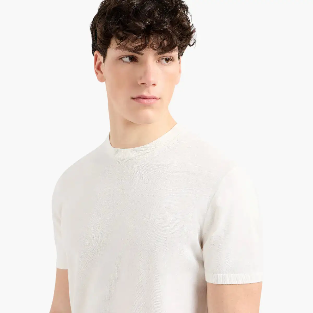 Regular Fit Round Neck Cotton Knit Pullover With Tonal Embroidered Logo