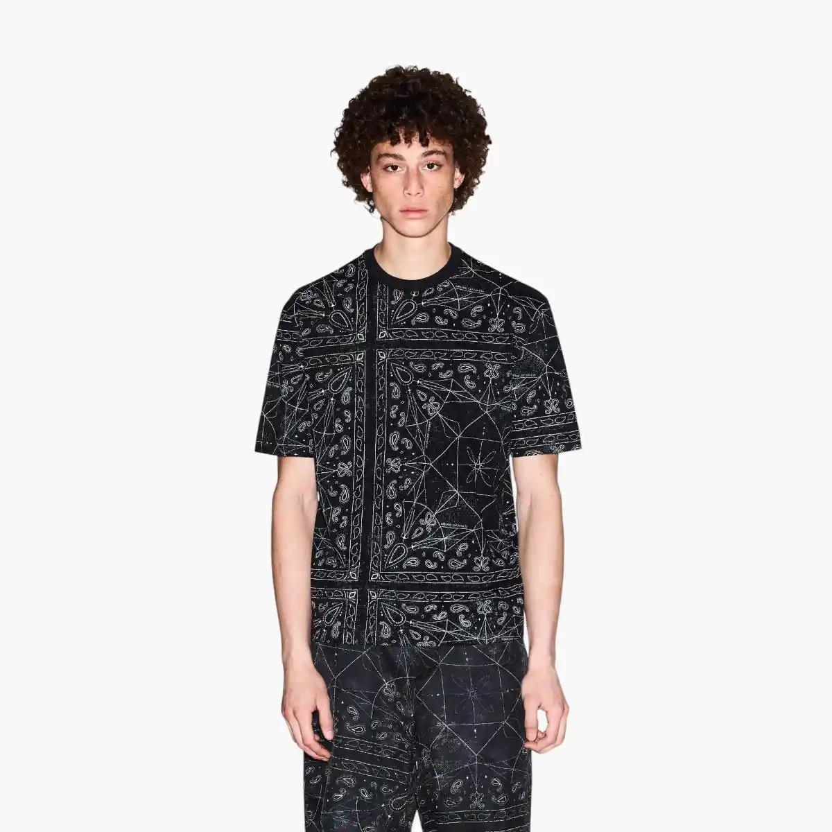 Regular Fit Cotton Crewneck Paisley Print T-Shirt
