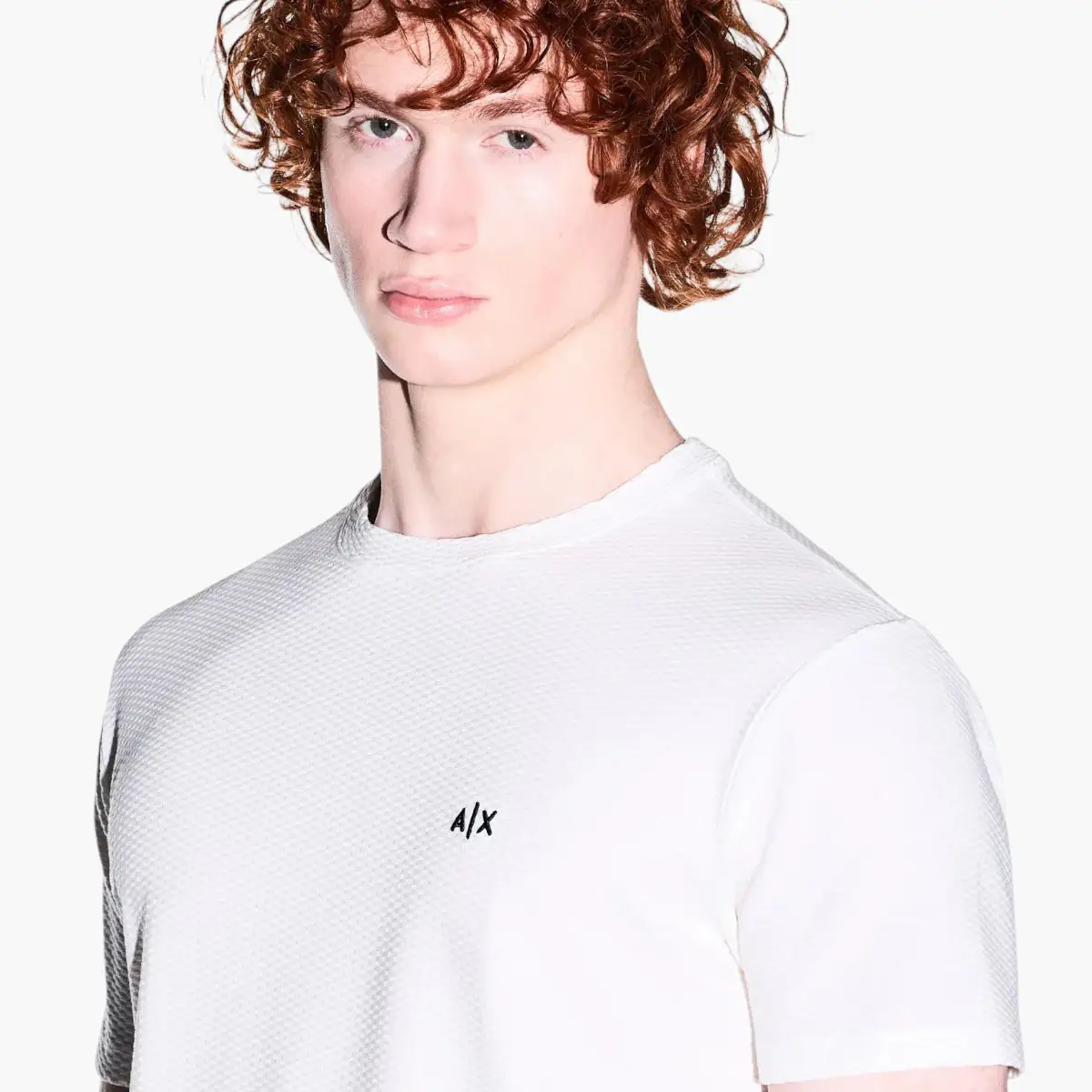 Regular Fit Cotton Crewneck T-Shirt With Embroidered Contrast Branding