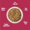 Ragi Millet Sev featuresres 