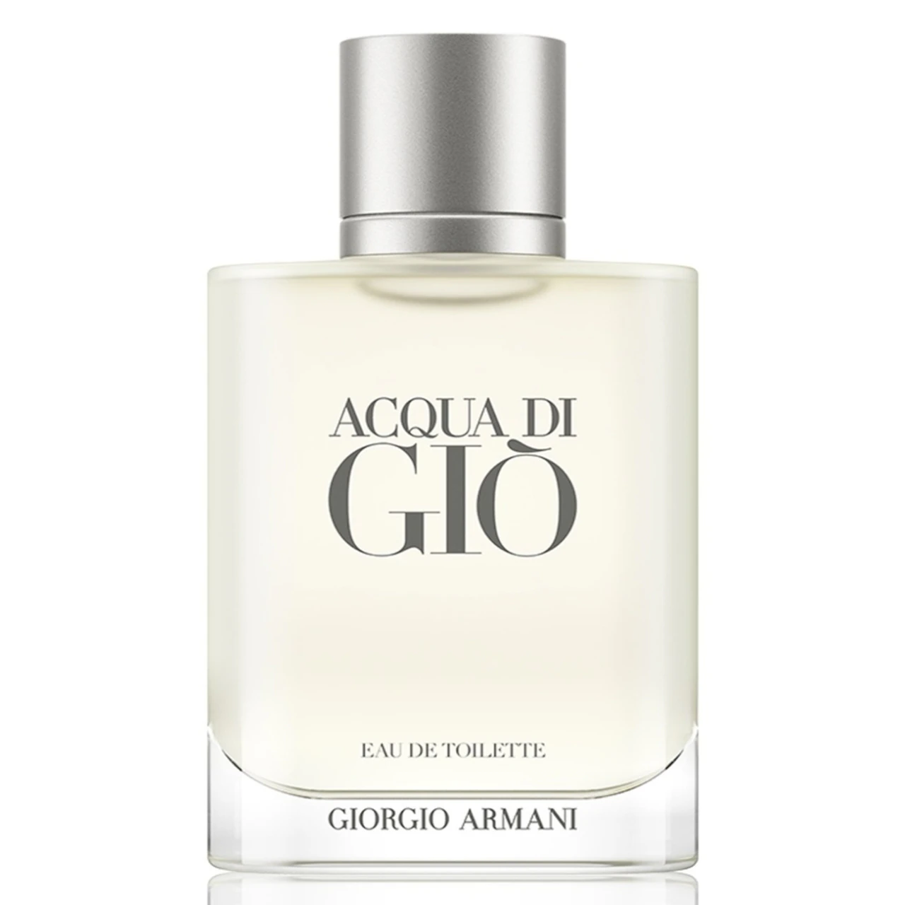 Giorgio Armani Acqua Di Gio Eau de Toilette 100 ml