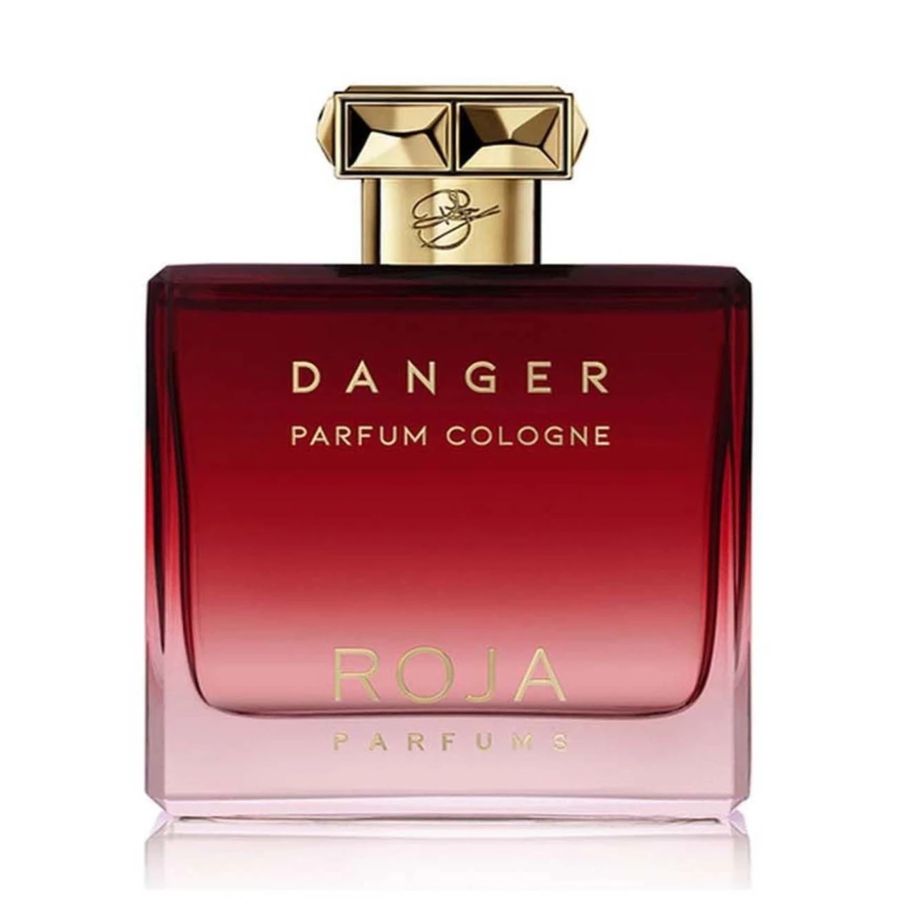 Roja Parfums Roja Danger Pour Homme Parfum Cologne 100 ml
