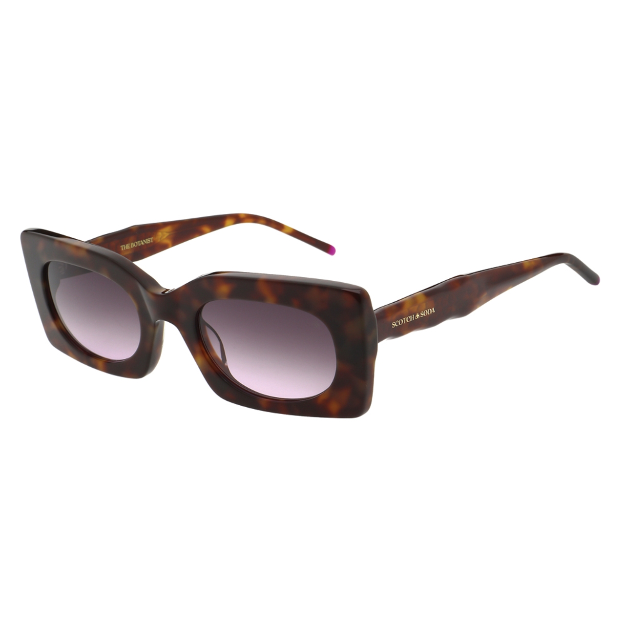 Scotch & Soda Sunglasses SS7041 Soft Tort 52/23-140