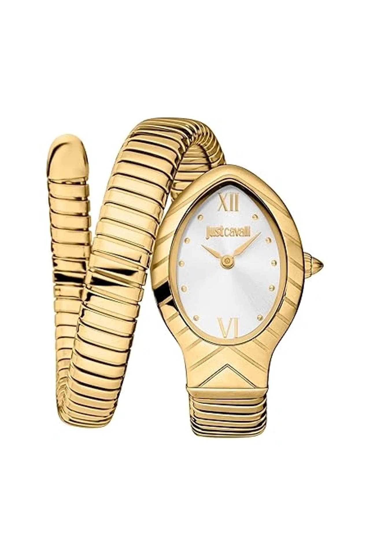 Just Cavalli Women Watch (JC1L247M0025)